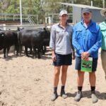 Vendas mais fortes este ano refletem melhorias nos últimos 12 meses