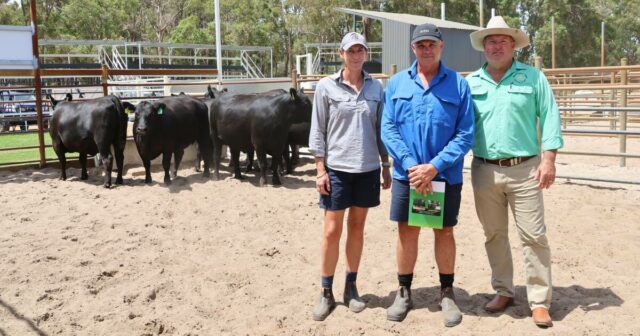 Vendas mais fortes este ano refletem melhorias nos últimos 12 meses
