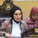 Vice-presidente da Comissão III DPR: Projeto de confisco de ativos recupera perdas do Estado