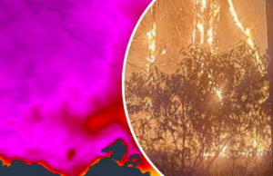 Vidas e casas em risco à medida que a ameaça de incêndio florestal aumenta após o dia mais quente de Victoria Vidas e casas em risco à medida que a ameaça de incêndio florestal aumenta após o dia mais quente de Victoria