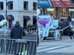 Vídeo selvagem mostra cavalo de carruagem assustado em Nova York correndo no trânsito do centro da cidade: ‘Ameaça imprudente’ Carruagem puxada por cavalos e SUV em uma rua da cidade.