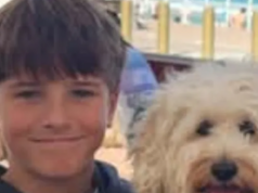 Vítima de ataque de tubarão, Nico Antic, 12, morre no hospital A jovem vítima de ataque de tubarão, Nico Antic, morreu no hospital.