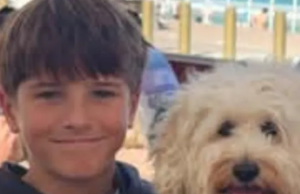 Vítima de ataque de tubarão, Nico Antic, 12, morre no hospital A jovem vítima de ataque de tubarão, Nico Antic, morreu no hospital.