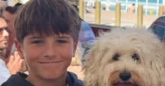 A jovem vítima de ataque de tubarão, Nico Antic, morreu no hospital.