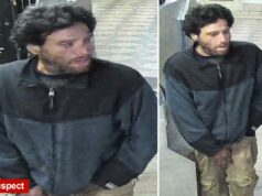 Wacko com ficha criminal preso por empurrar aleatoriamente um homem de 35 anos nos trilhos do metrô de Nova York Imagem fixa de Anton Aleshin em uma estação de metrô.