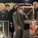 Wallaby fugitivo de NJ 'Rex' encontrou e voltou para casa com a ajuda de um grupo de adolescentes