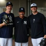 Yankees Scott Effross Tigers