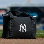 Yankees previstos para fazer trocas pelo Nationals All-Star, Cubs Slugger