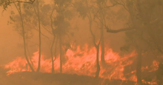‘Agir imediatamente para sobreviver’: Tarde demais para partir enquanto o incêndio florestal aumenta
