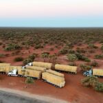 ‘É saber que alguém se importa’: corrida de forragem traz mais do que feno para os pastores