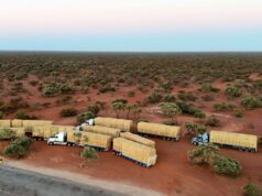 ‘É saber que alguém se importa’: corrida de forragem traz mais do que feno para os pastores ‘É saber que alguém se importa’: corrida de forragem traz mais do que feno para os pastores
