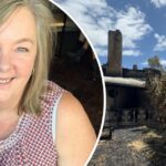 Incêndios florestais em Mandy Dashwood