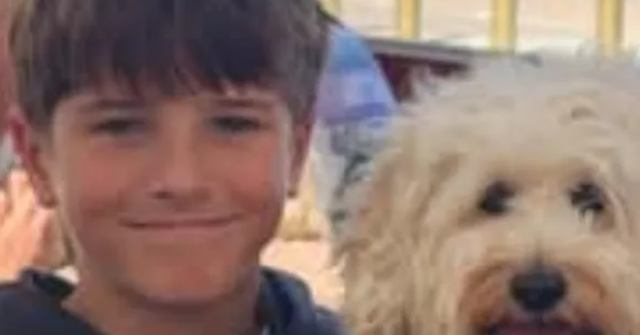 Nico Antic, de 12 anos, foi atacado por um tubarão em Vaucluse no domingo.