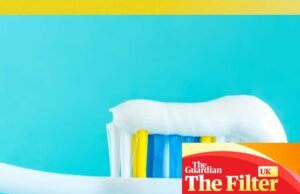‘Um sinal para mudar sua técnica’: como fazer sua escova de dente durar mais – e mantê-la fora do aterro ‘Um sinal para mudar sua técnica’: como fazer sua escova de dente durar mais – e mantê-la fora do aterro