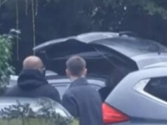 Andrew Mountbatten-Windsor preso Andrew Mountbatten-Windsor preso