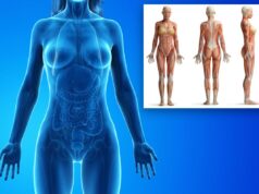 5 coisas bizarras que você não sabia sobre o corpo feminino – incluindo que os úteros podem ‘sentir o gosto’ de esperma ruim 5 coisas bizarras que você não sabia sobre o corpo feminino - incluindo que os úteros podem 'sentir o gosto' de esperma ruim