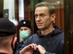 A Rússia envenenou Alexei Navalny com toxina de sapo-dardo, dizem países europeus Alexei Navalny está na jaula dos réus durante uma audiência sobre sua condenação criminal em 2014, em Moscou.