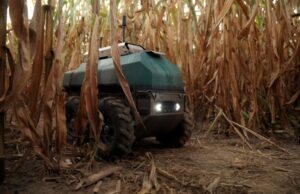 A Upside Robotics está reduzindo o uso de fertilizantes e o desperdício nas plantações de milho A Upside Robotics está reduzindo o uso de fertilizantes e o desperdício nas plantações de milho