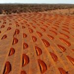 A agricultura regenerativa dá um salto em frente na orla exterior do deserto de WA