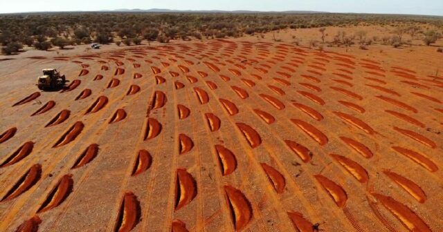A agricultura regenerativa dá um salto em frente na orla exterior do deserto de WA
