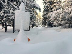 A busca foi interrompida por esquiadores do Lago Tahoe enterrados em uma avalanche depois que a área foi atingida por 60 centímetros de neve Uma pessoa segurando neve com a mão enluvada, demonstrando uma camada fraca na camada de neve que pode causar avalanches.