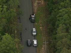 A busca pelo avô desaparecido Chris Baghsarian se concentra em uma densa mata nativa Os policiais têm procurado a densa mata nativa em Glenorie, a 44 km do centro da cidade, enquanto as esperanças de encontrá-lo vivo diminuem.