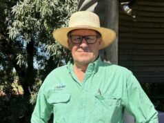 A confiança está borbulhando na indústria de ovinos de WA à medida que o número de feiras aumenta A confiança está borbulhando na indústria de ovinos de WA à medida que o número de feiras aumenta