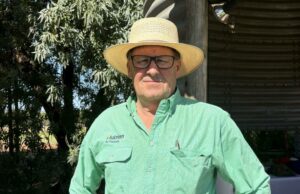 A confiança está borbulhando na indústria de ovinos de WA à medida que o número de feiras aumenta A confiança está borbulhando na indústria de ovinos de WA à medida que o número de feiras aumenta