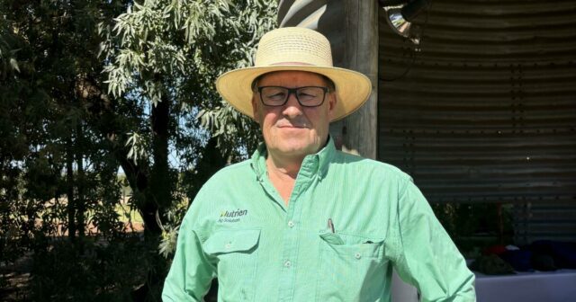 A confiança está borbulhando na indústria de ovinos de WA à medida que o número de feiras aumenta
