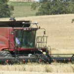 A demanda por carne está alta, mas as fazendas de gado não conseguem igualar a renda de grãos de quase US$ 1 milhão