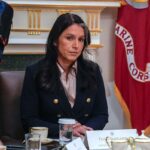 A denúncia acusa Tulsi Gabbard de fazer política com inteligência – o que a agência de espionagem rejeita