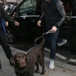 Ant McPartlin teria saído do país enquanto lutava para lidar com a dor da perda de seu amado cachorro Hurley