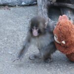 A internet exigiu outra atualização do Punch. Então aqui está como ele está.