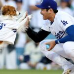 O cachorro de Shohei Ohtani lançou o primeiro arremesso no jogo dos Dodgers em sua noite de Bobblehead