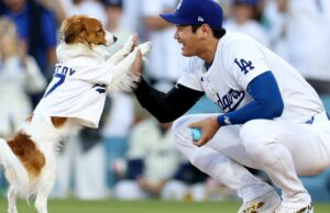 A isca de cachorro favorita dos fãs de Shohei Ohtani recebe uma homenagem de 28 pés O cachorro de Shohei Ohtani lançou o primeiro arremesso no jogo dos Dodgers em sua noite de Bobblehead