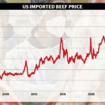 A mudança estrutural no mercado que elevará os preços da carne bovina em todos os lugares