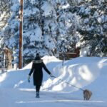 Uma tempestade de neve cobre a região enquanto uma mulher caminha com seu cachorro ao longo de uma estrada repleta de pilhas de neve em Truckee, Califórnia, na quinta-feira, 19 de fevereiro de 2026. (Ray Chavez/Bay Area News Group)