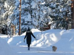 A neve da Sierra Nevada acumula apenas 68% do normal após um inverno rigoroso, mas o abastecimento de água está bom, dizem os especialistas Uma tempestade de neve cobre a região enquanto uma mulher caminha com seu cachorro ao longo de uma estrada repleta de pilhas de neve em Truckee, Califórnia, na quinta-feira, 19 de fevereiro de 2026. (Ray Chavez/Bay Area News Group)
