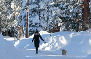 A neve da Sierra Nevada acumula apenas 68% do normal após um inverno rigoroso, mas o abastecimento de água está bom, dizem os especialistas Uma tempestade de neve cobre a região enquanto uma mulher caminha com seu cachorro ao longo de uma estrada repleta de pilhas de neve em Truckee, Califórnia, na quinta-feira, 19 de fevereiro de 2026. (Ray Chavez/Bay Area News Group)