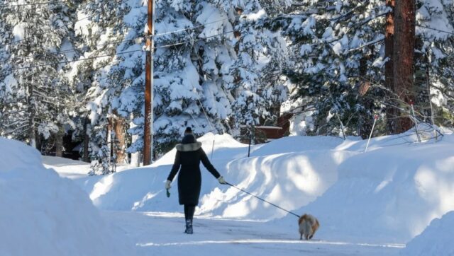 Uma tempestade de neve cobre a região enquanto uma mulher caminha com seu cachorro ao longo de uma estrada repleta de pilhas de neve em Truckee, Califórnia, na quinta-feira, 19 de fevereiro de 2026. (Ray Chavez/Bay Area News Group)