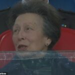 A Princesa Real, de 75 anos, ficou chocada enquanto estava sentada nas arquibancadas durante o confronto da Escócia contra a Itália, quando um estádio inteiro de torcedores explodiu em aplausos pela amada realeza.