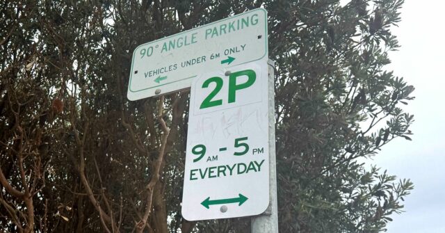 Essas eram as únicas placas nas imediações de onde Karina estacionou de costas para o meio-fio ao longo da Narrabeen Park Parade, nas praias do norte de Sydney.