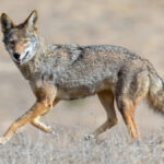 Yahoo lifestyle home