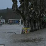 Avenidas foram engolidas pela água enquanto a tempestade Nils traz fortes chuvas em toda a França