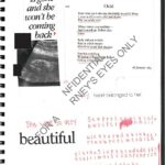 Enterrado nos três milhões de documentos está um diário de uma das vítimas de Epstein