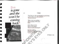 A vítima de Jeffrey Epstein ‘teve o bebê gerado pelo pedófilo roubado dez minutos após o nascimento’: o bilionário ‘tinha vários filhos secretos e esperava criar um pool genético “superior”‘ Enterrado nos três milhões de documentos está um diário de uma das vítimas de Epstein