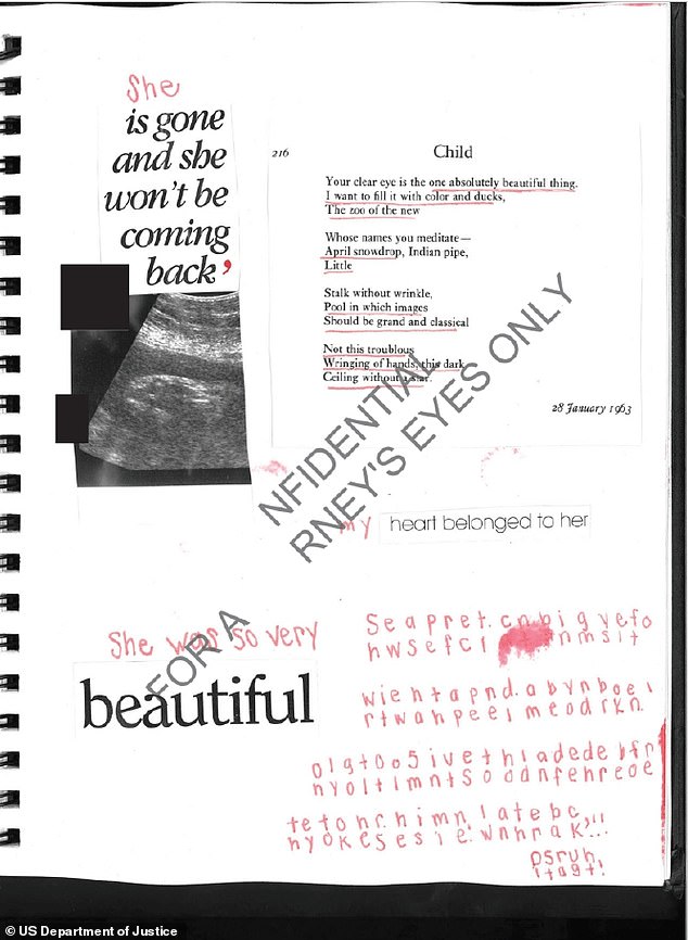 A vítima de Jeffrey Epstein 'teve o bebê gerado pelo Enterrado nos três milhões de documentos está um diário de uma das vítimas de Epstein