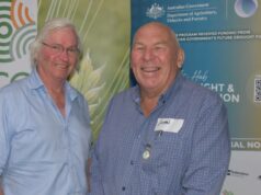 Acertar os custos estratégicos é fundamental para gerenciar o custo de produção de grãos Acertar os custos estratégicos é fundamental para gerenciar o custo de produção de grãos