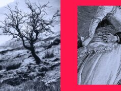 Adoração, vingança e sinais de alerta: 6 autores sobre por que não podemos desistir de ‘O Morro dos Ventos Uivantes’ e Heathcliff Adoração, vingança e sinais de alerta: 6 autores sobre por que não podemos desistir de 'O Morro dos Ventos Uivantes' e Heathcliff