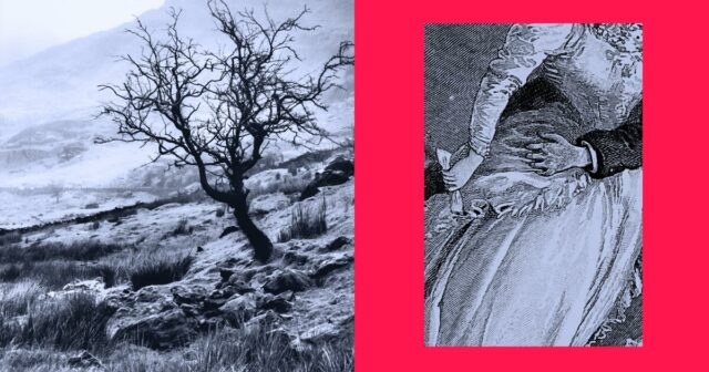 Adoração, vingança e sinais de alerta: 6 autores sobre por que não podemos desistir de 'O Morro dos Ventos Uivantes' e Heathcliff
